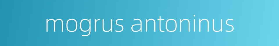 mogrus antoninus的同义词