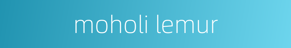 moholi lemur的同义词