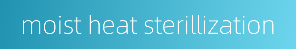 moist heat sterillization的同义词