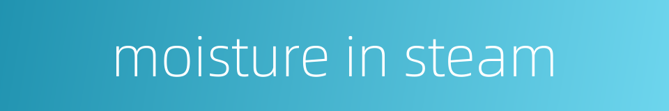 moisture in steam的同义词