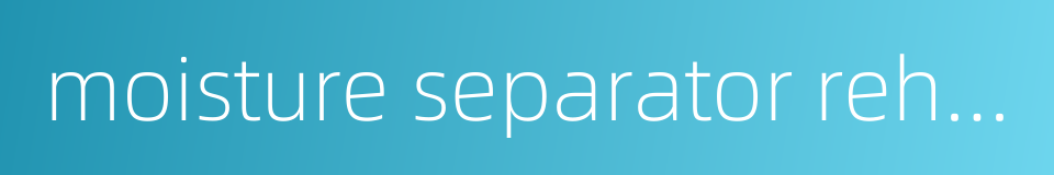 moisture separator reheater的同义词