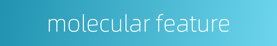 molecular feature的同义词