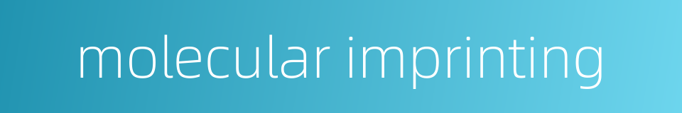 molecular imprinting的同义词