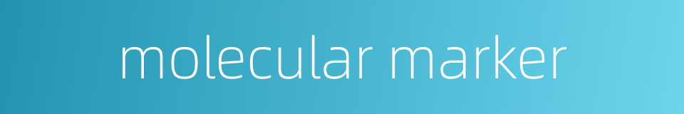 molecular marker的同义词