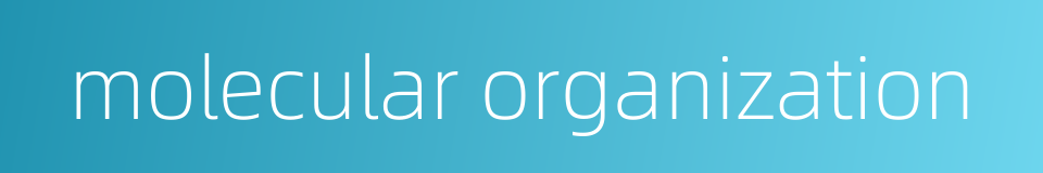 molecular organization的同义词