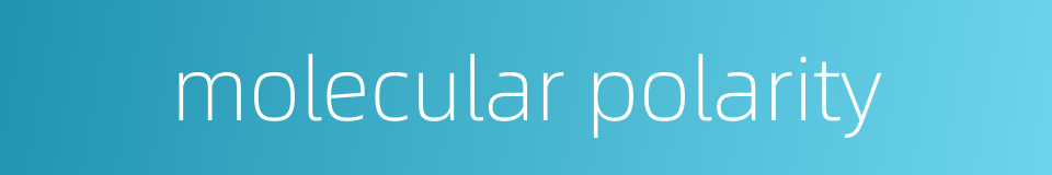molecular polarity的同义词
