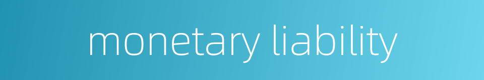 monetary liability的同义词