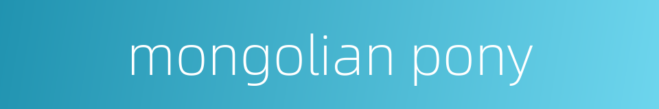 mongolian pony的同义词