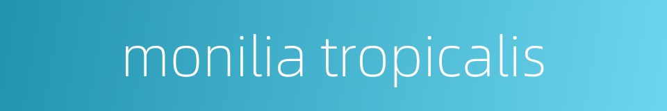 monilia tropicalis的同义词