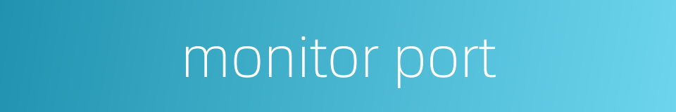 monitor port的同义词