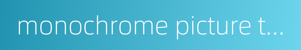 monochrome picture tube的同义词