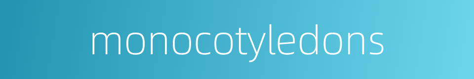 monocotyledons的同义词
