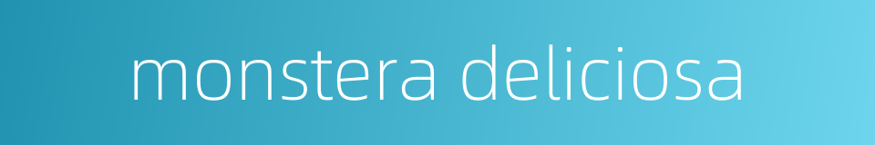 monstera deliciosa的同义词