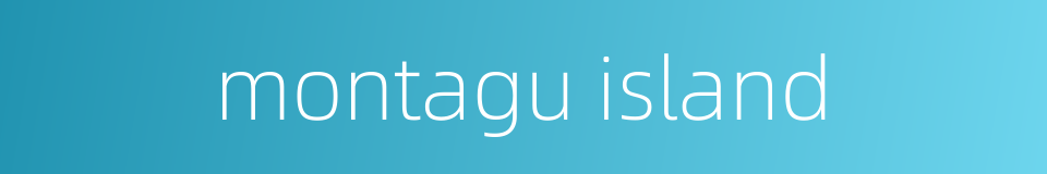 montagu island的同义词