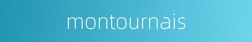 montournais的同义词