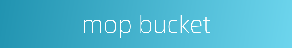 mop bucket的同义词