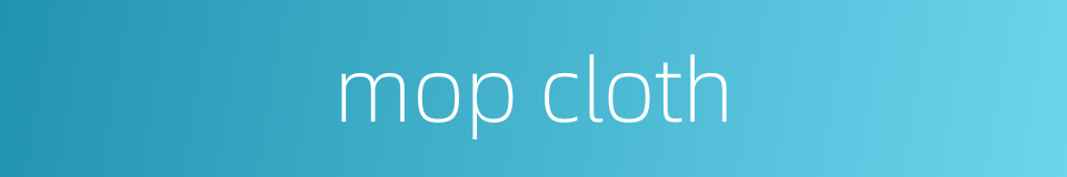 mop cloth的同义词