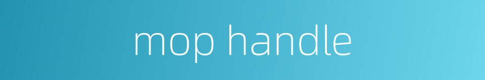 mop handle的同义词