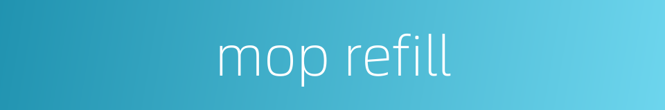 mop refill的同义词