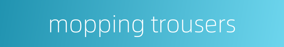 mopping trousers的同义词