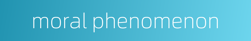 moral phenomenon的同义词