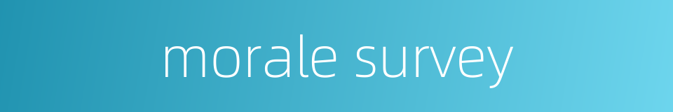 morale survey的同义词