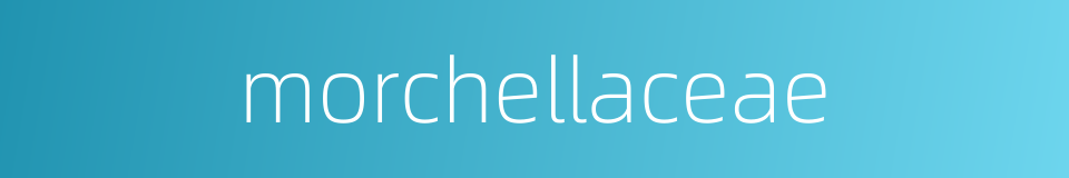 morchellaceae的同义词