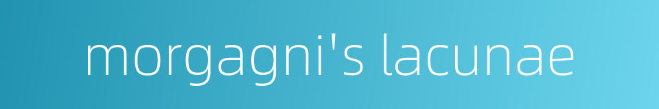 morgagni's lacunae的同义词