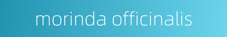 morinda officinalis的同义词