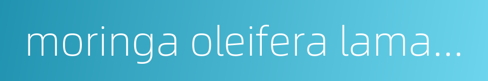 moringa oleifera lamarck的同义词