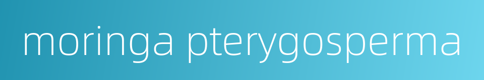 moringa pterygosperma的同义词