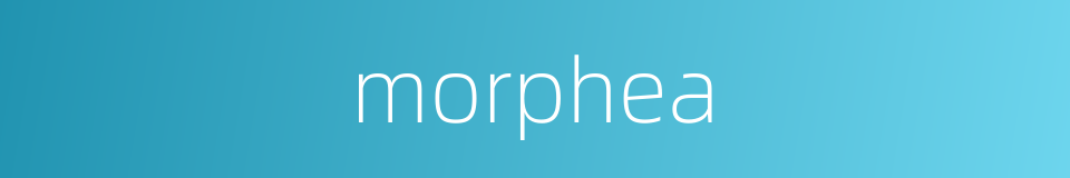 morphea的同义词