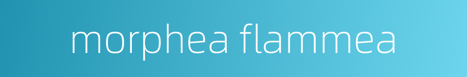 morphea flammea的同义词
