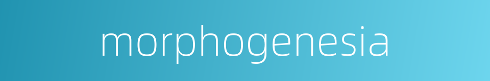 morphogenesia的同义词