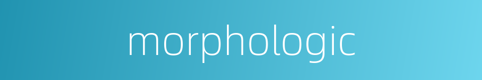 morphologic的同义词
