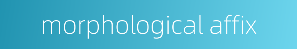 morphological affix的同义词