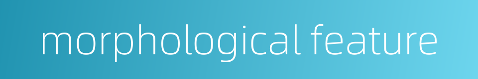 morphological feature的同义词