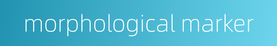 morphological marker的同义词