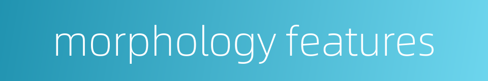 morphology features的同义词