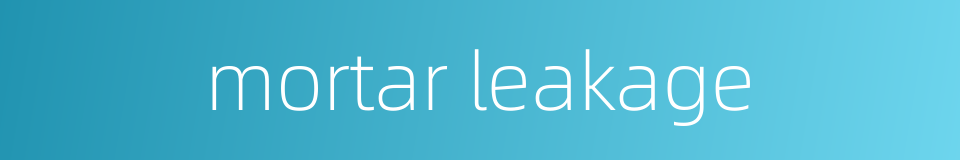 mortar leakage的同义词