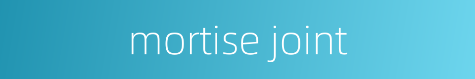 mortise joint的同义词