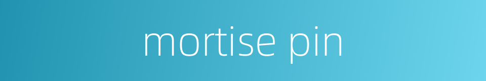 mortise pin的同义词