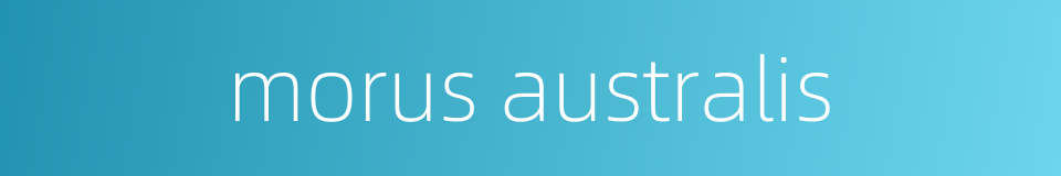 morus australis的同义词