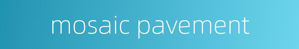 mosaic pavement的同义词