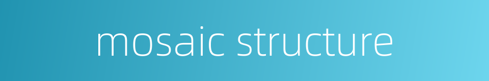 mosaic structure的同义词