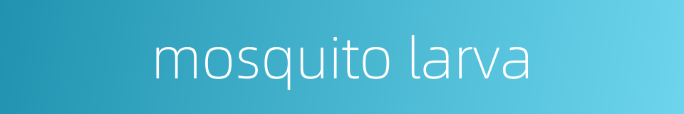 mosquito larva的同义词