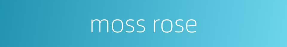 moss rose的同义词