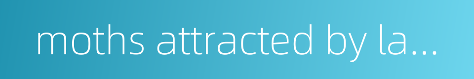 moths attracted by lamplight的同义词