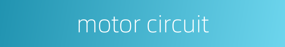 motor circuit的同义词