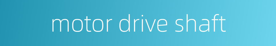 motor drive shaft的同义词